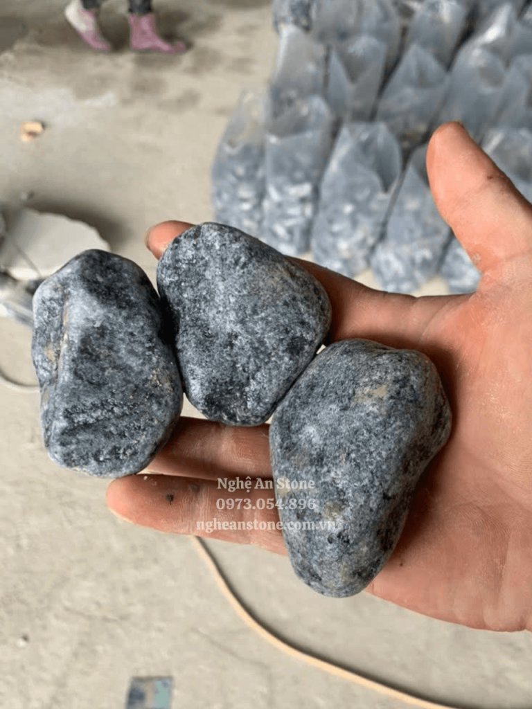 Sởi cuội màu đen